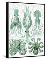 Turquoise Octopus and Squid b-Fab Funky-Framed Stretched Canvas