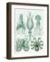 Turquoise Octopus and Squid b-Fab Funky-Framed Art Print