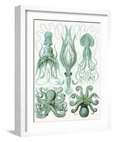 Turquoise Octopus and Squid b-Fab Funky-Framed Art Print