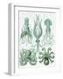 Turquoise Octopus and Squid b-Fab Funky-Framed Art Print