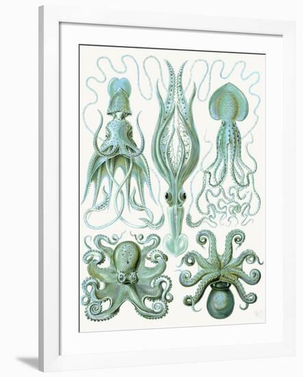 Turquoise Octopus and Squid b-Fab Funky-Framed Art Print