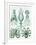 Turquoise Octopus and Squid b-Fab Funky-Framed Art Print