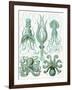 Turquoise Octopus and Squid b-Fab Funky-Framed Art Print