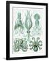 Turquoise Octopus and Squid b-Fab Funky-Framed Art Print