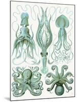 Turquoise Octopus and Squid b-Fab Funky-Mounted Art Print