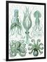 Turquoise Octopus and Squid b-Fab Funky-Framed Art Print