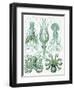 Turquoise Octopus and Squid b-Fab Funky-Framed Art Print