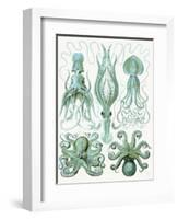 Turquoise Octopus and Squid b-Fab Funky-Framed Art Print