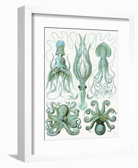 Turquoise Octopus and Squid b-Fab Funky-Framed Art Print