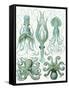 Turquoise Octopus and Squid b-Fab Funky-Framed Stretched Canvas