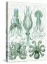 Turquoise Octopus and Squid b-Fab Funky-Stretched Canvas