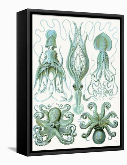 Turquoise Octopus and Squid b-Fab Funky-Framed Stretched Canvas
