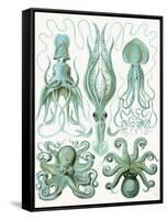 Turquoise Octopus and Squid b-Fab Funky-Framed Stretched Canvas