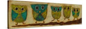 Turquoise Owl Family I-Anne Hempel-Stretched Canvas