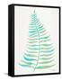 Turquoise Palm Leaf-Cat Coquillette-Framed Stretched Canvas