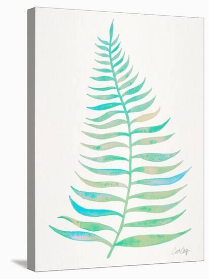 Turquoise Palm Leaf-Cat Coquillette-Stretched Canvas