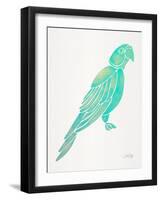 Turquoise Perched Parrot-Cat Coquillette-Framed Art Print