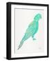 Turquoise Perched Parrot-Cat Coquillette-Framed Art Print