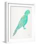 Turquoise Perched Parrot-Cat Coquillette-Framed Art Print