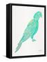 Turquoise Perched Parrot-Cat Coquillette-Framed Stretched Canvas