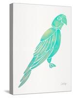 Turquoise Perched Parrot-Cat Coquillette-Stretched Canvas