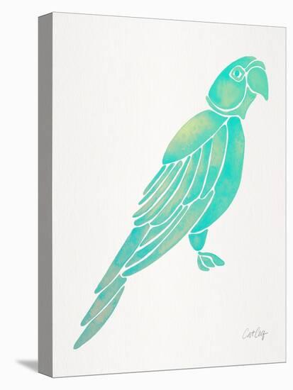 Turquoise Perched Parrot-Cat Coquillette-Stretched Canvas