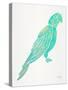 Turquoise Perched Parrot-Cat Coquillette-Stretched Canvas