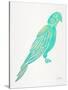 Turquoise Perched Parrot-Cat Coquillette-Stretched Canvas