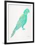 Turquoise Perched Parrot-Cat Coquillette-Framed Art Print