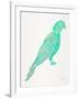 Turquoise Perched Parrot-Cat Coquillette-Framed Art Print