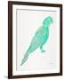 Turquoise Perched Parrot-Cat Coquillette-Framed Art Print