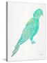 Turquoise Perched Parrot-Cat Coquillette-Stretched Canvas