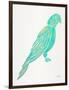 Turquoise Perched Parrot-Cat Coquillette-Framed Art Print