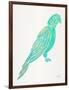 Turquoise Perched Parrot-Cat Coquillette-Framed Art Print