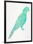 Turquoise Perched Parrot-Cat Coquillette-Framed Art Print