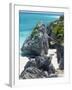 Turquoise Sea and Beach in Tulum, Riviera Maya, Quintana Roo, Mexico-Demetrio Carrasco-Framed Photographic Print