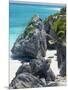 Turquoise Sea and Beach in Tulum, Riviera Maya, Quintana Roo, Mexico-Demetrio Carrasco-Mounted Photographic Print