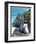 Turquoise Sea and Beach in Tulum, Riviera Maya, Quintana Roo, Mexico-Demetrio Carrasco-Framed Photographic Print