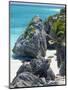 Turquoise Sea and Beach in Tulum, Riviera Maya, Quintana Roo, Mexico-Demetrio Carrasco-Mounted Photographic Print