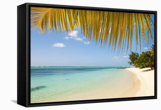 Turquoise Sea and White Palm Fringed Beach, Le Morne, Black River, Mauritius, Indian Ocean, Africa-Jordan Banks-Framed Stretched Canvas