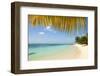 Turquoise Sea and White Palm Fringed Beach, Le Morne, Black River, Mauritius, Indian Ocean, Africa-Jordan Banks-Framed Photographic Print