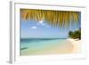 Turquoise Sea and White Palm Fringed Beach, Le Morne, Black River, Mauritius, Indian Ocean, Africa-Jordan Banks-Framed Photographic Print