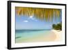 Turquoise Sea and White Palm Fringed Beach, Le Morne, Black River, Mauritius, Indian Ocean, Africa-Jordan Banks-Framed Photographic Print