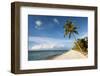 Turquoise Sea and White Palm Fringed Beach, Le Morne, Black River, Mauritius, Indian Ocean, Africa-Jordan Banks-Framed Photographic Print