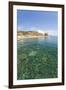 Turquoise sea, Cala Seregola, Capo Pero, Elba Island, Livorno Province, Tuscany, Italy, Europe-Roberto Moiola-Framed Photographic Print