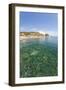 Turquoise sea, Cala Seregola, Capo Pero, Elba Island, Livorno Province, Tuscany, Italy, Europe-Roberto Moiola-Framed Photographic Print