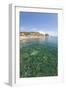 Turquoise sea, Cala Seregola, Capo Pero, Elba Island, Livorno Province, Tuscany, Italy, Europe-Roberto Moiola-Framed Photographic Print