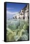 Turquoise sea, Capo Bianco beach, Portoferraio, Elba Island, Livorno Province, Tuscany, Italy, Euro-Roberto Moiola-Framed Stretched Canvas