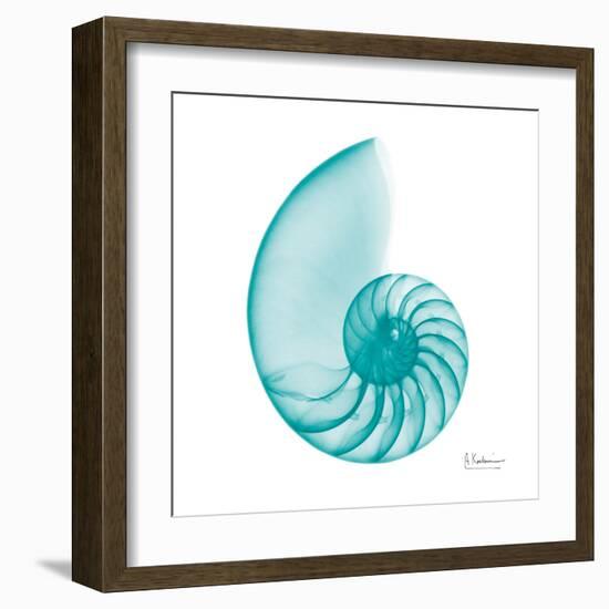 Turquoise Sea Shell-Albert Koetsier-Framed Art Print