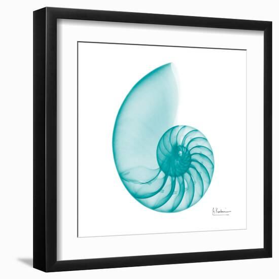 Turquoise Sea Shell-Albert Koetsier-Framed Art Print